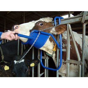 Vink Headrest for Cows