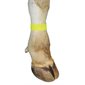 Velcro leg bands yellow pk / 10