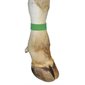 Velcro leg bands green pk / 10