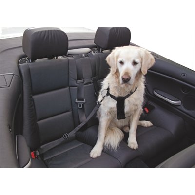 Car Dog Harness 70 - 90 cm