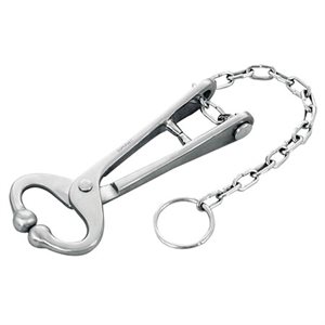 IDEAL Bull lead with chain